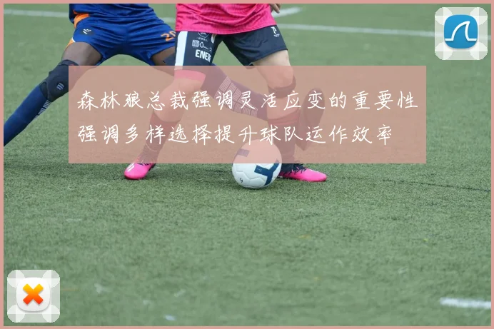 森林狼总裁强调灵活应变的重要性强调多样选择提升球队运作效率